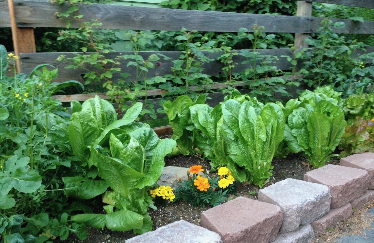 Gardenside Bed And Breakfast Anchorage Exterior photo